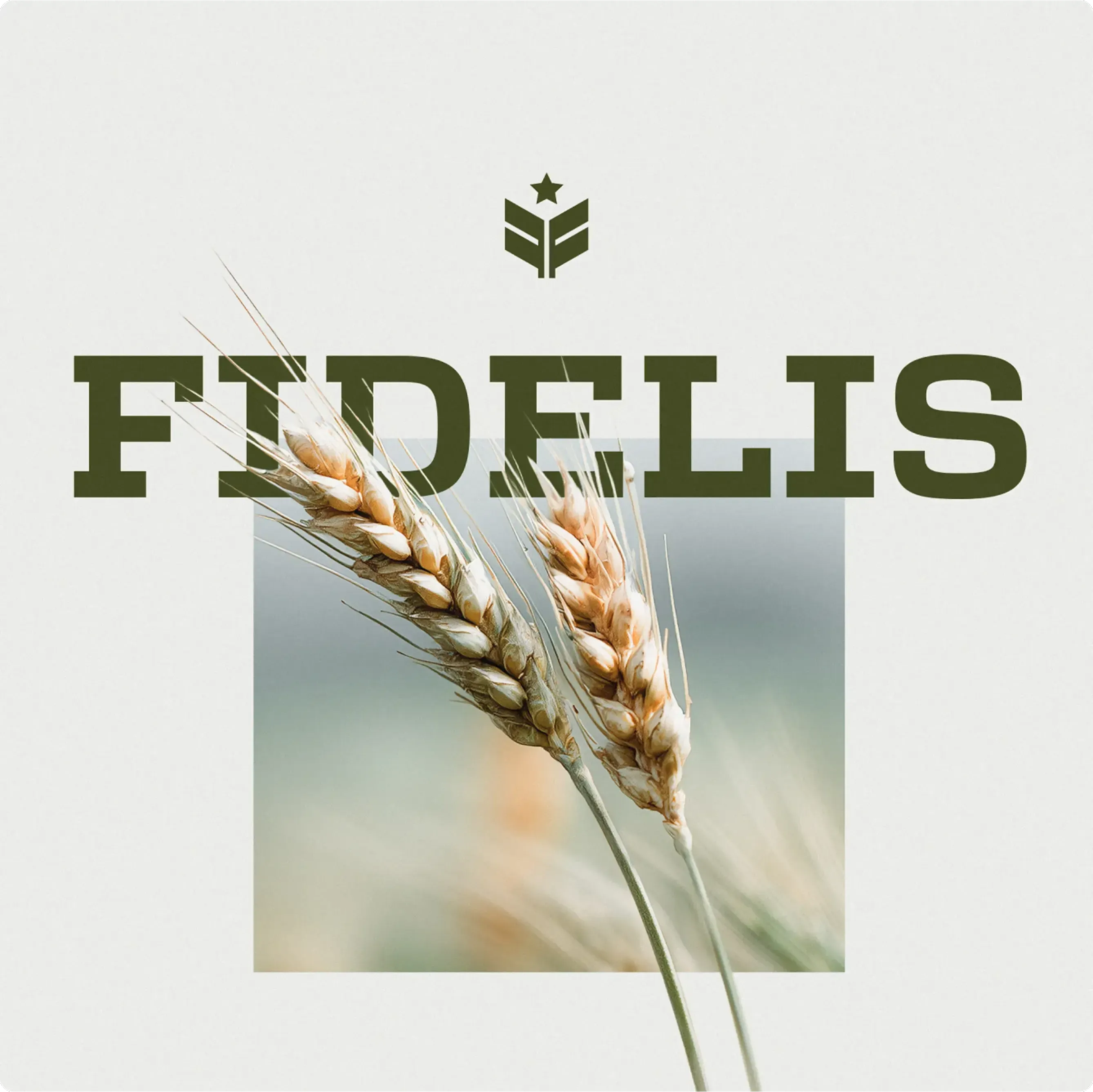 Fidelis Food Group